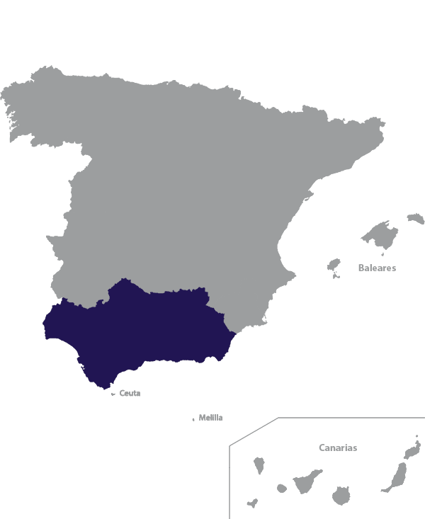 Landkaart Spanje grijs met regio Andalusië donkerblauw op transparante achtergrond - 600 * 733 pixels